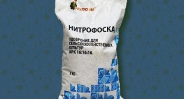 Jak správně používat hnojivo nitrofoska na okurky